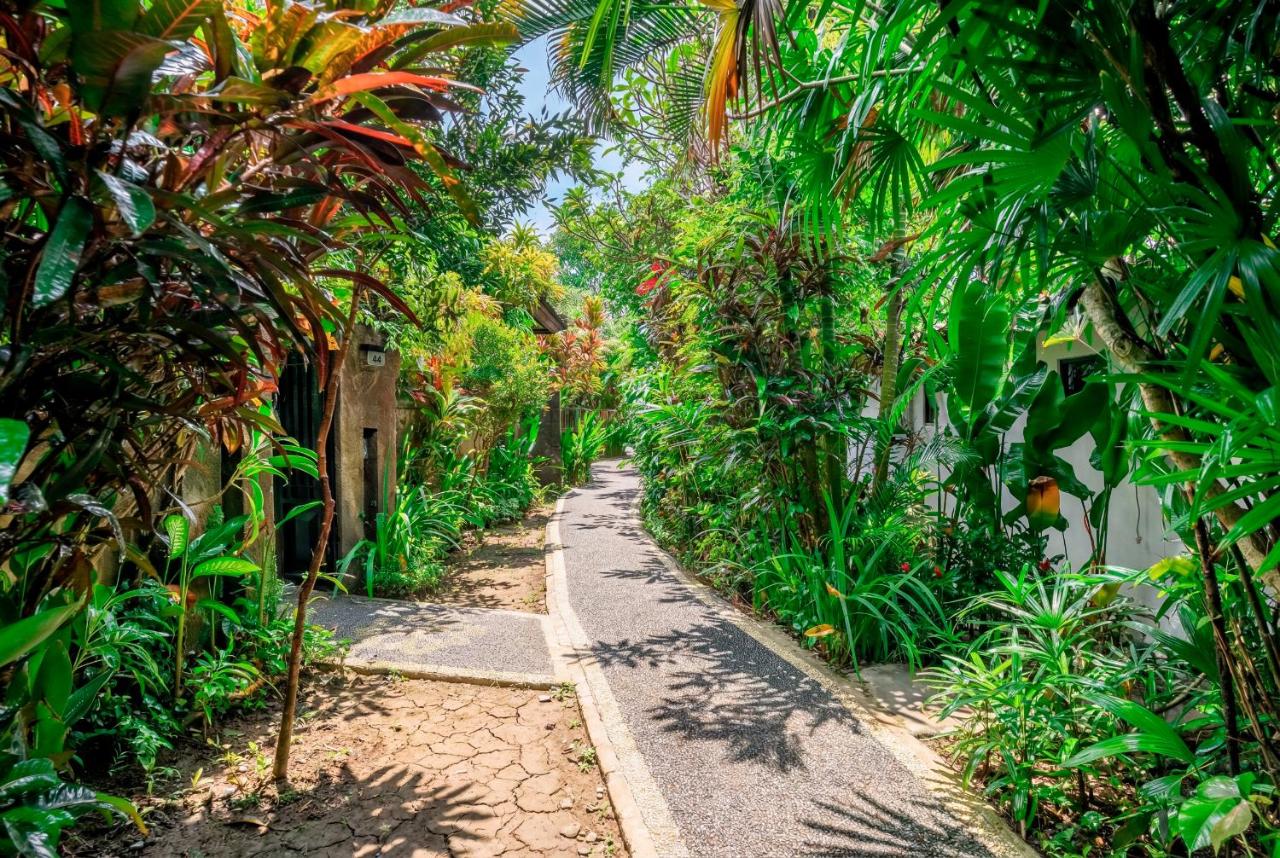 Bali Dream Garden - 5