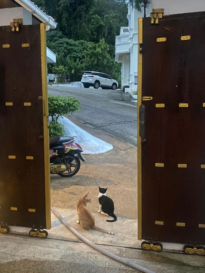 BOUTIQUE-VILLA with Suites & Rooms - 2