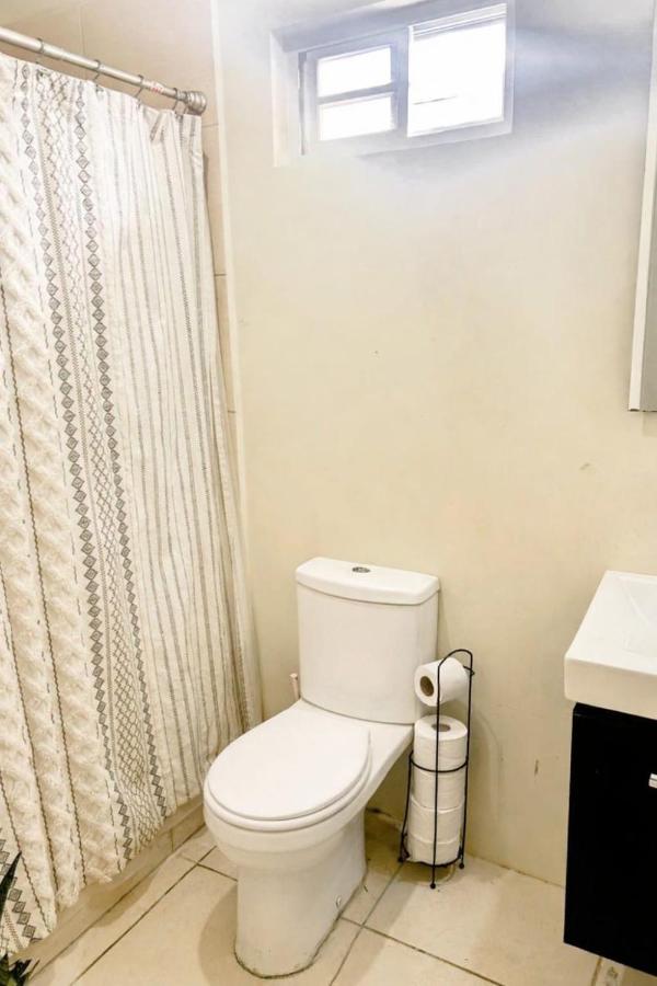 The Colored House - 2