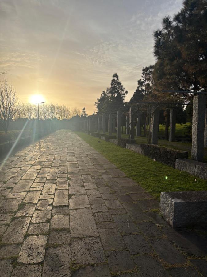 Terracotta Place - 3