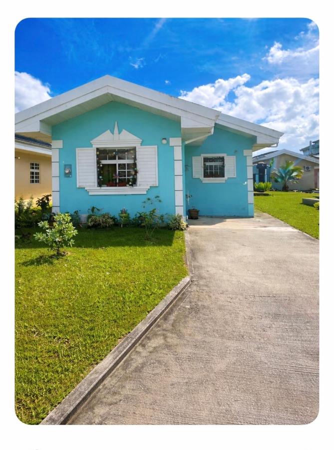 The Colored House - 4