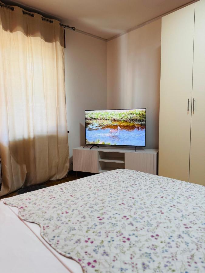 First Dream Mestre - 5