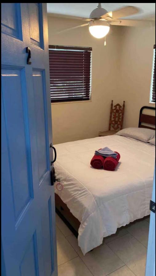 Casa Bugambilia near Miami Airport - 4