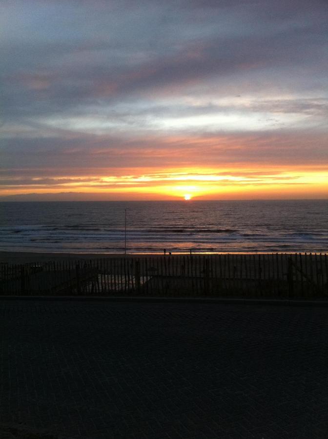 Life@Sea photo
