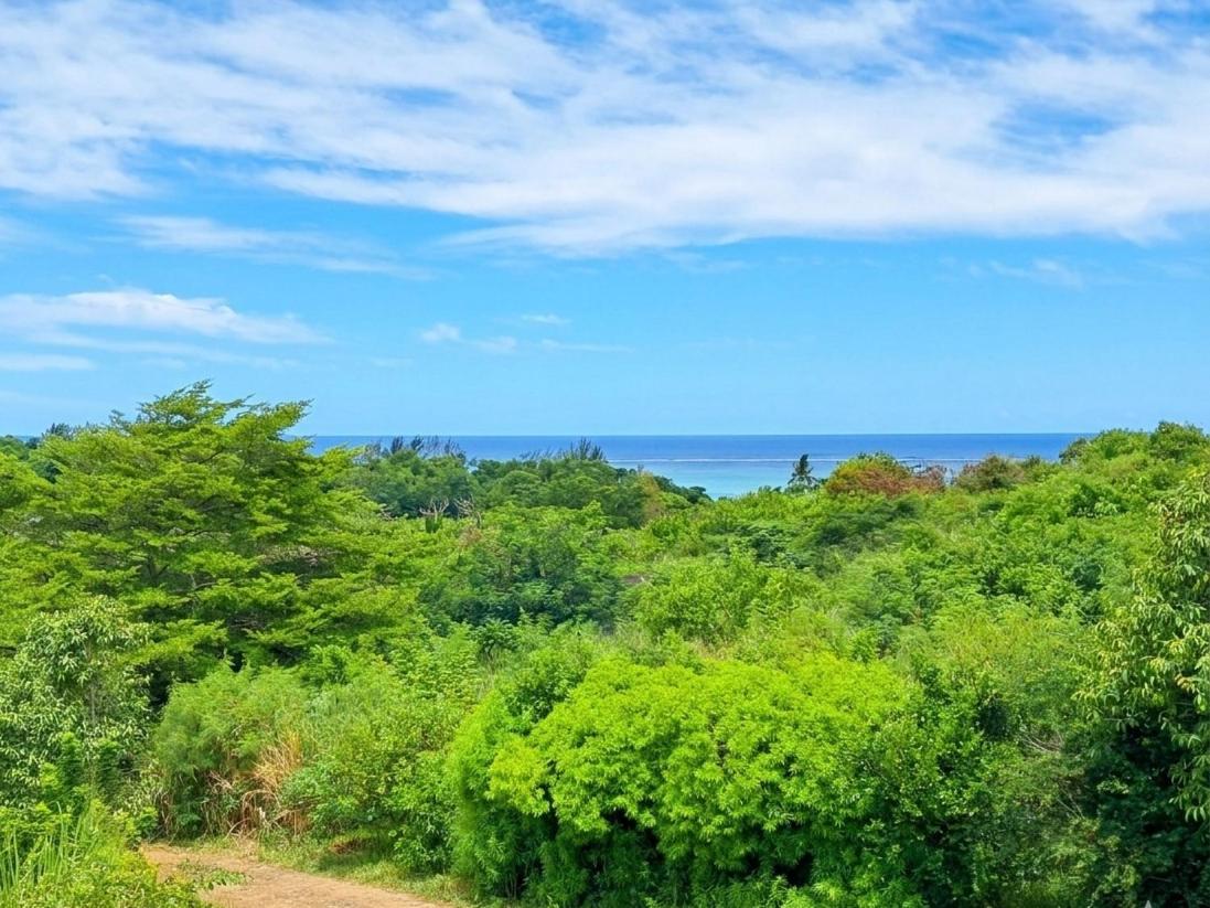 Bel ombre's Panoramic view - 3