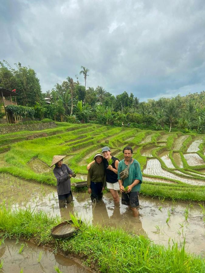 Puri Dajuma Terrace Eco Lodge & Spa - 3