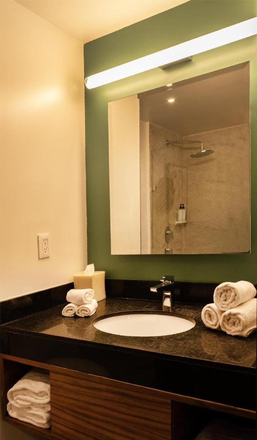 Hilton Garden Inn Mexico City Polanco - 4