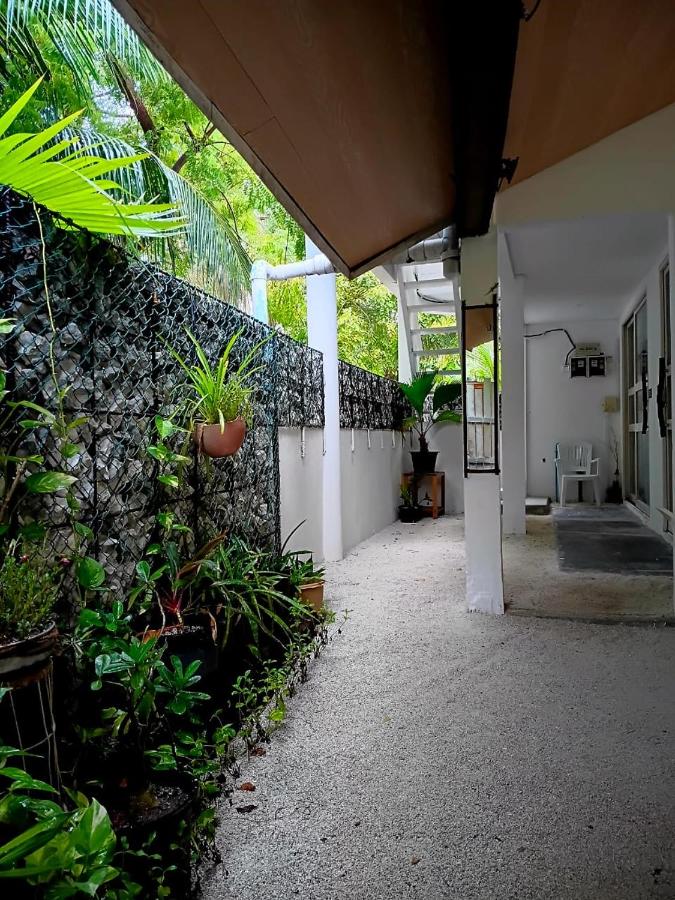 Tripo Dhiffushi Villa - 2