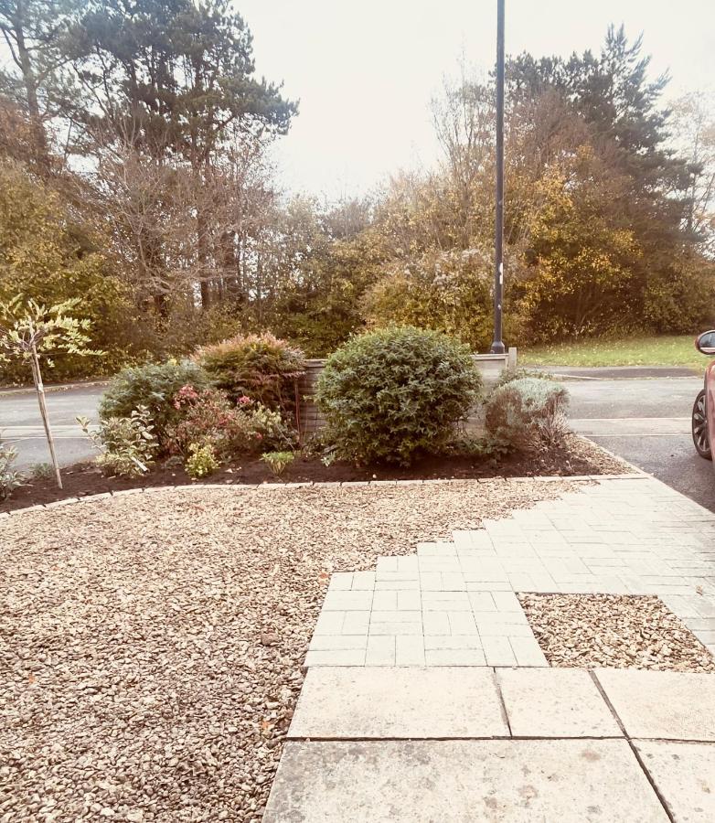 Peaceful 2-Bed Bath house with parking & garden & fast WiFi & easy city access - 2