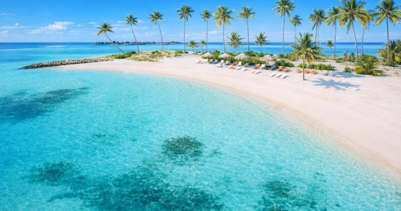 Dhiggaa by H Collection - 3