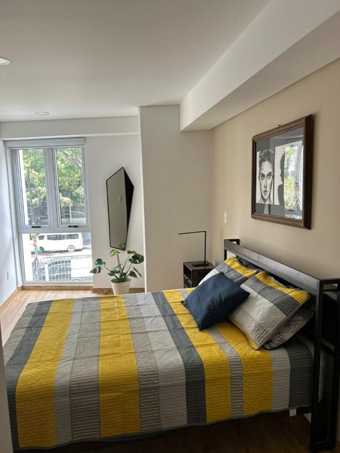 New, spacious, bright view of the Museo del Chopo - 2