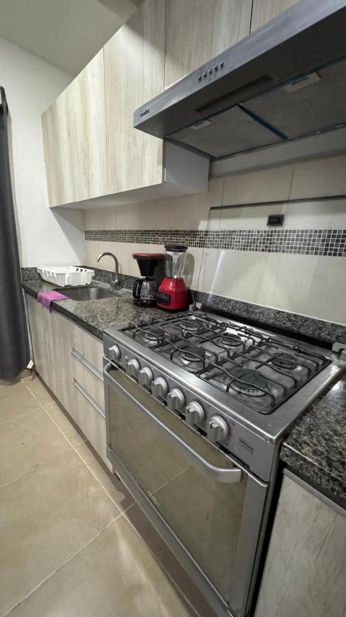 DEPTO DE LUJO 3REC PB LAGUNA A TUS PIES BLUE GARDEN RETREAT zh - 5