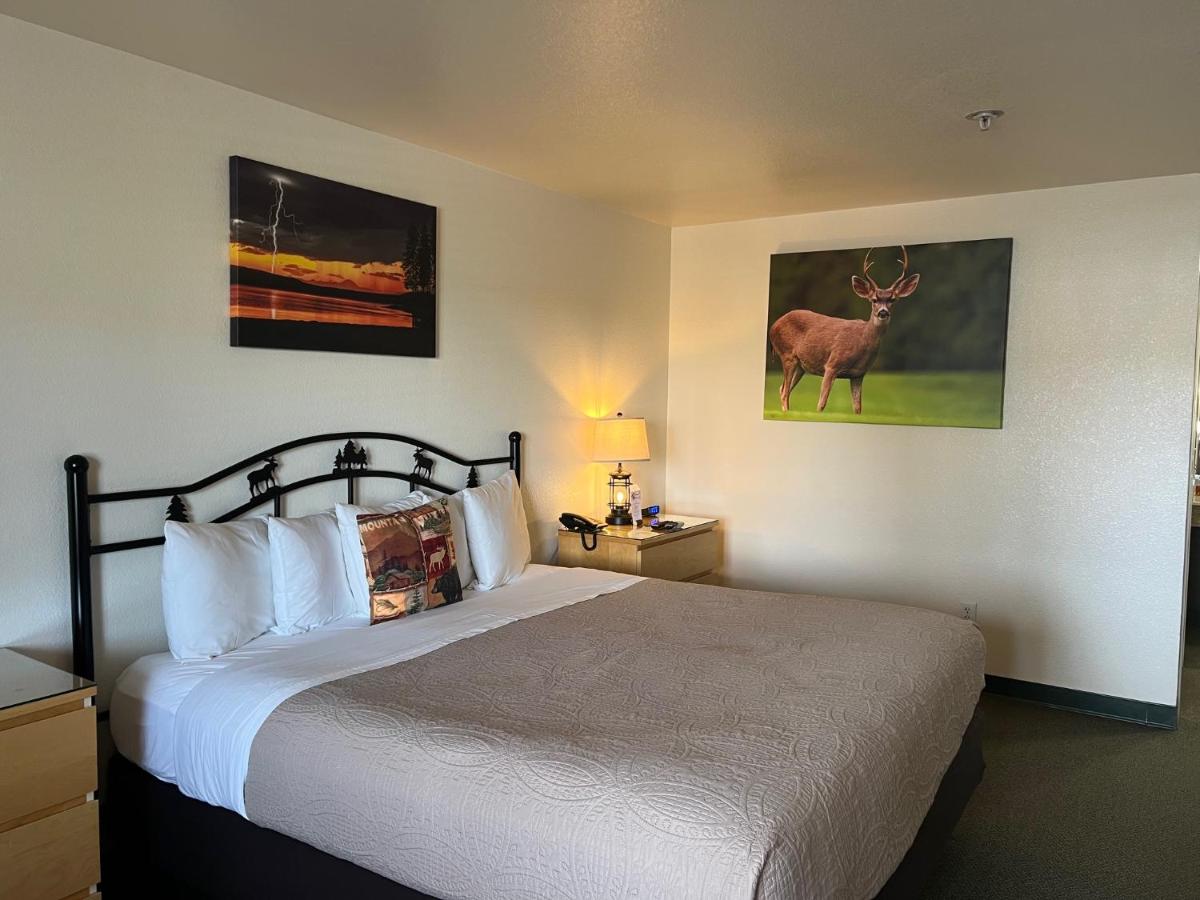 Antlers Motel — photo 7