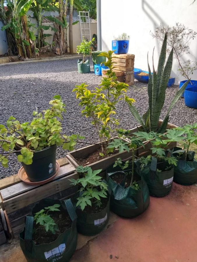 Z Studio Goodlands - 2