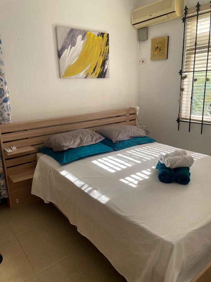 Rayon Bleu T3 Sea View - 5