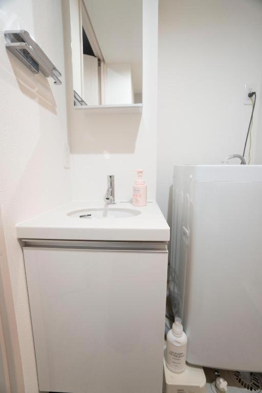 the homestay in tokyo - 3