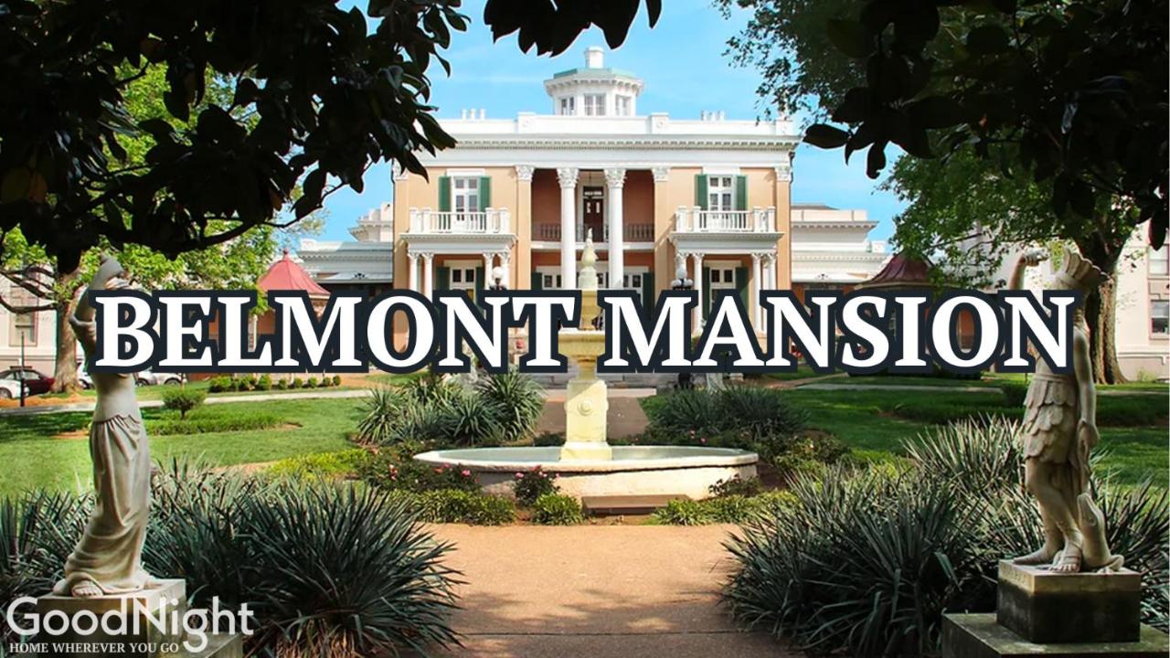 Vinyl - Rooftop Pool - Gym - On Music Row - 2