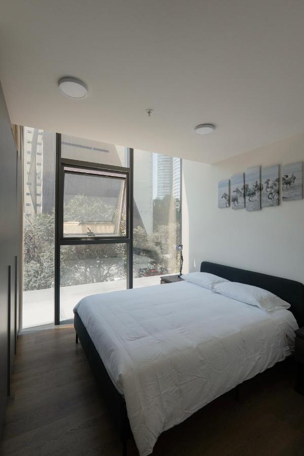 Furnished 2 Bedroom Apartment in Mexico City - 4