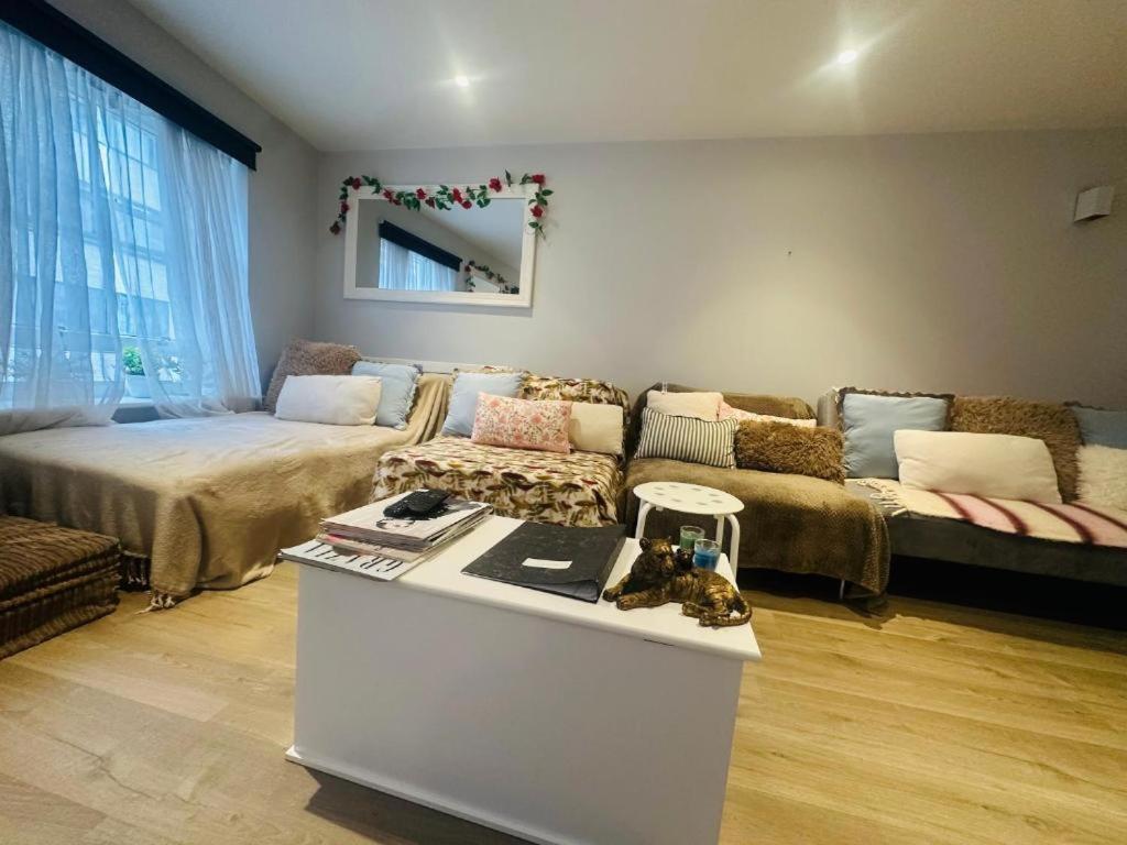 The Hyde Park & Canal Side Executive Elegant Residences by Ricky & Giustina Collection - W2, W9, NW8