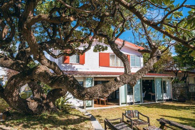 50 Shades of Blue - 5