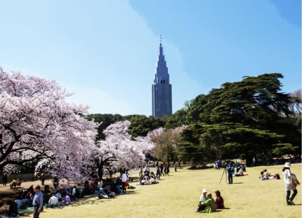 HIgashi-Shinjuku 1011 - 3