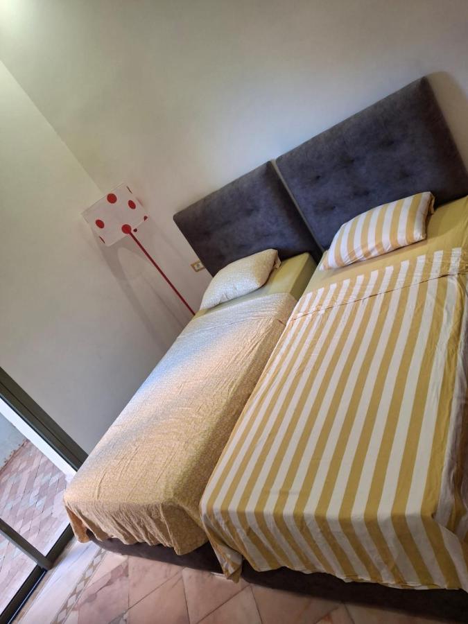 Les Jardins de la ville ocre - 2