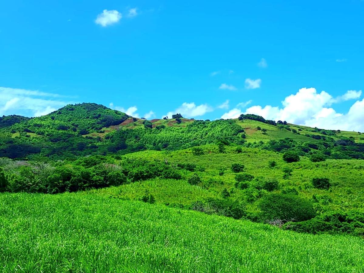 Bel ombre's Panoramic view - 2