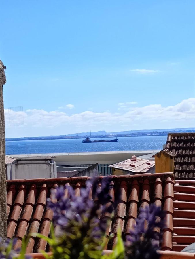 Alfama Little Gem - 5