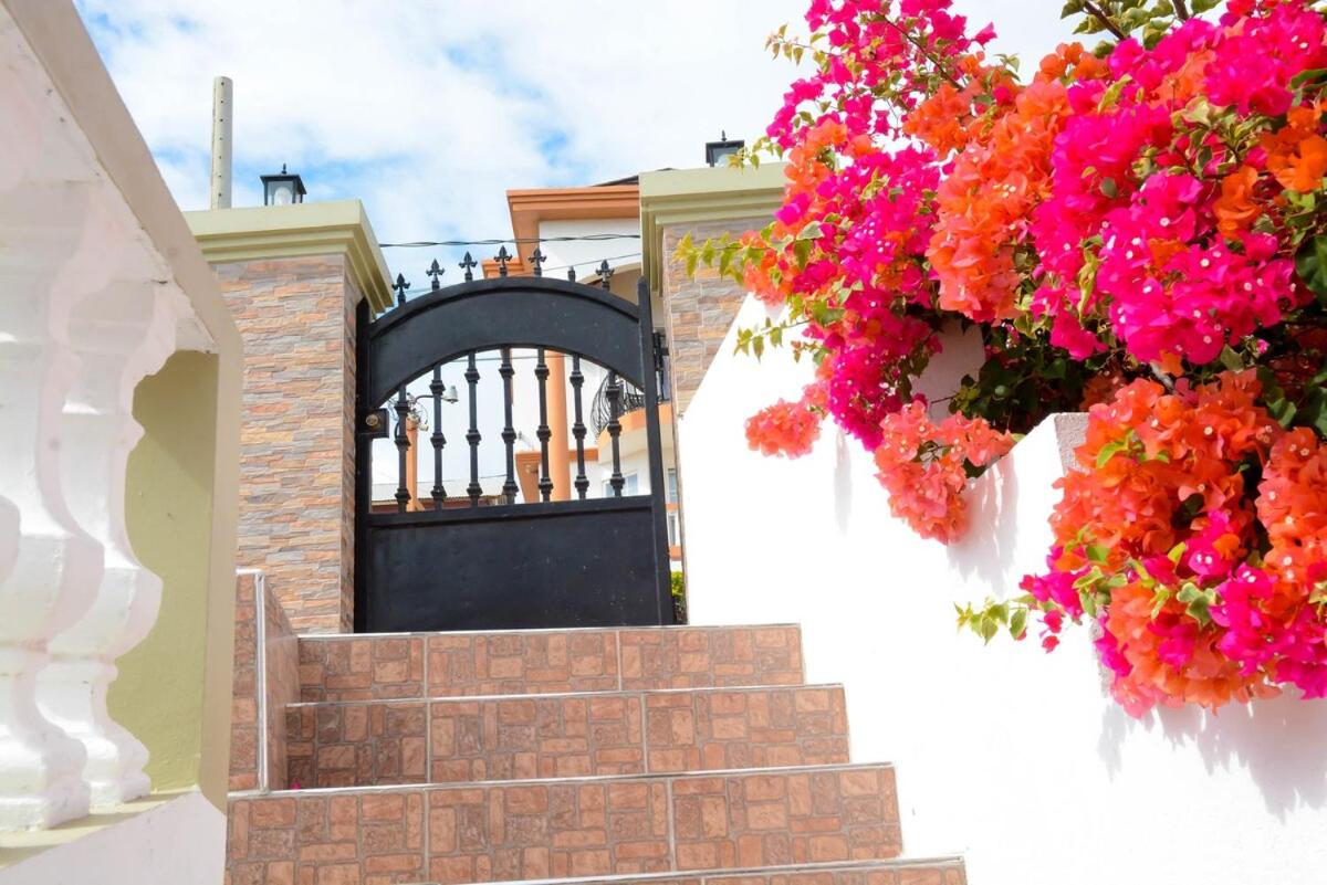 Snowbird Friendly - Seaview Balcony - Fast Wifi and AC - 2