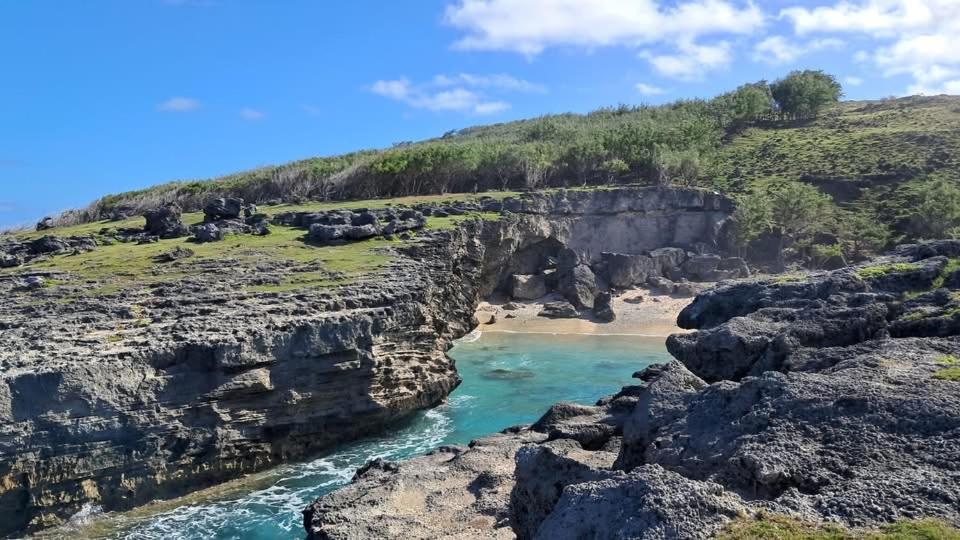 Bon Vivant Front de Mer - Ile Rodrigues - 2
