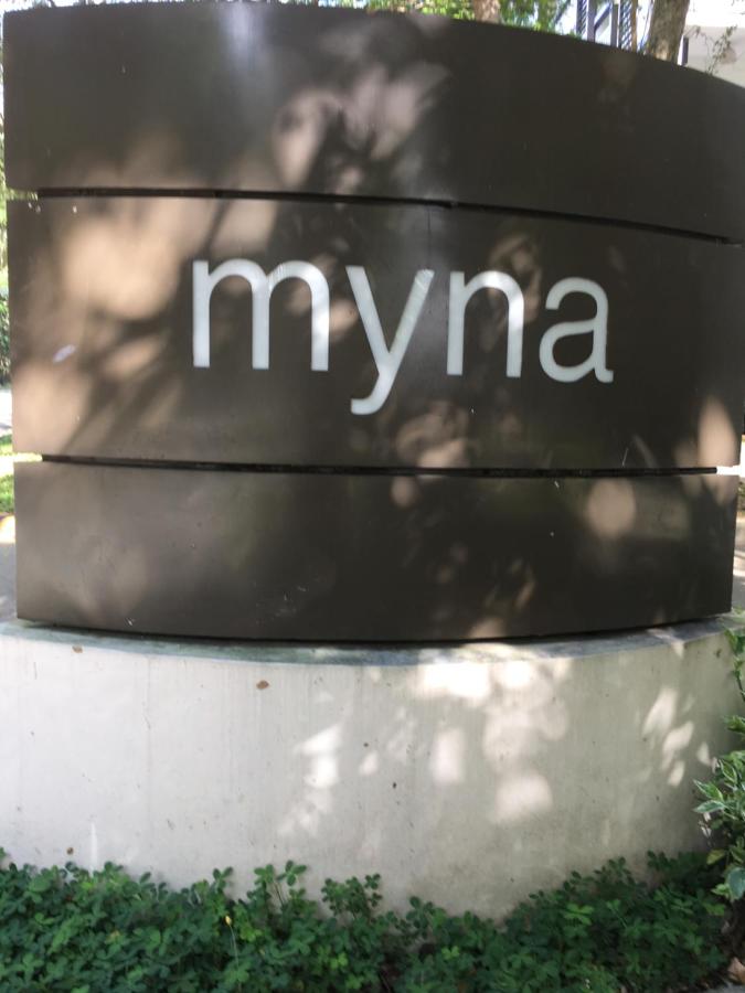 Myna Lagoon Pico de Loro