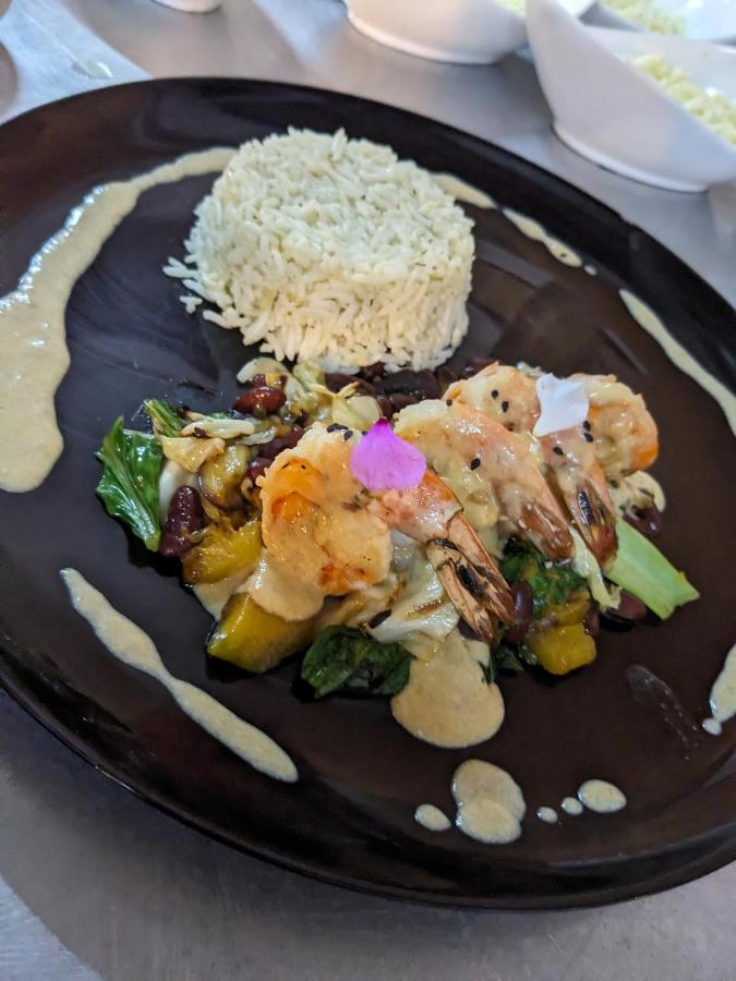 Bon Vivant Front de Mer - Ile Rodrigues - 5