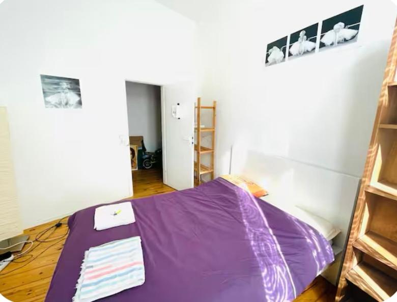 The backyard room - 3