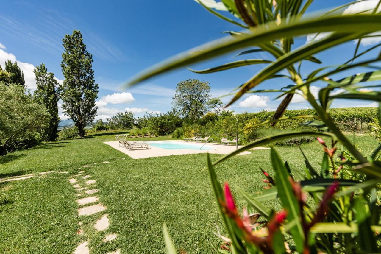 Villa Uliveto photo