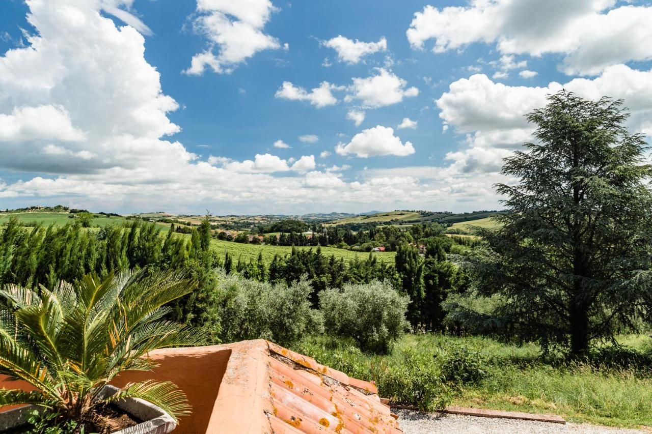 Villa Uliveto photo