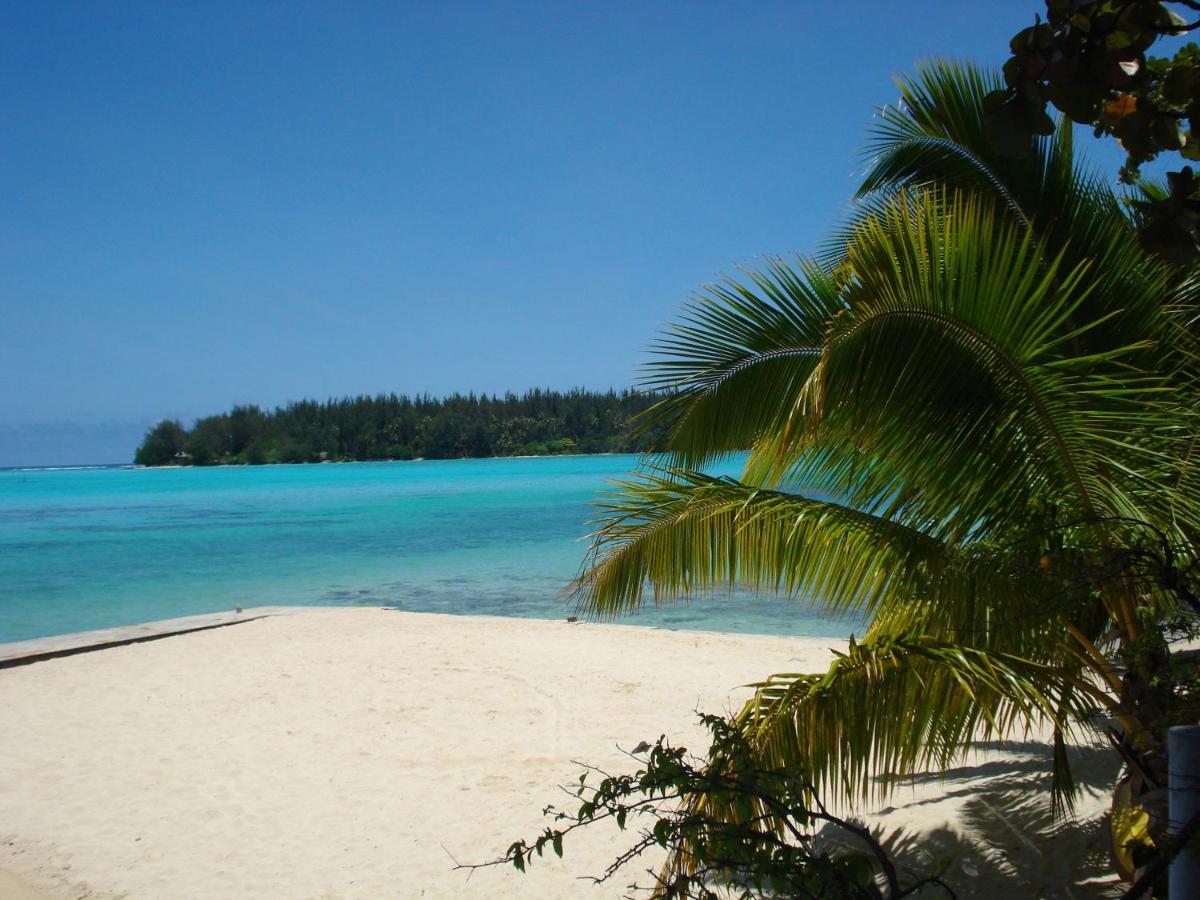 Beach: Hotel Hibiscus