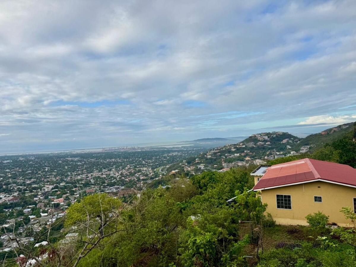 The best Skyview on Lady Hamilton - 3