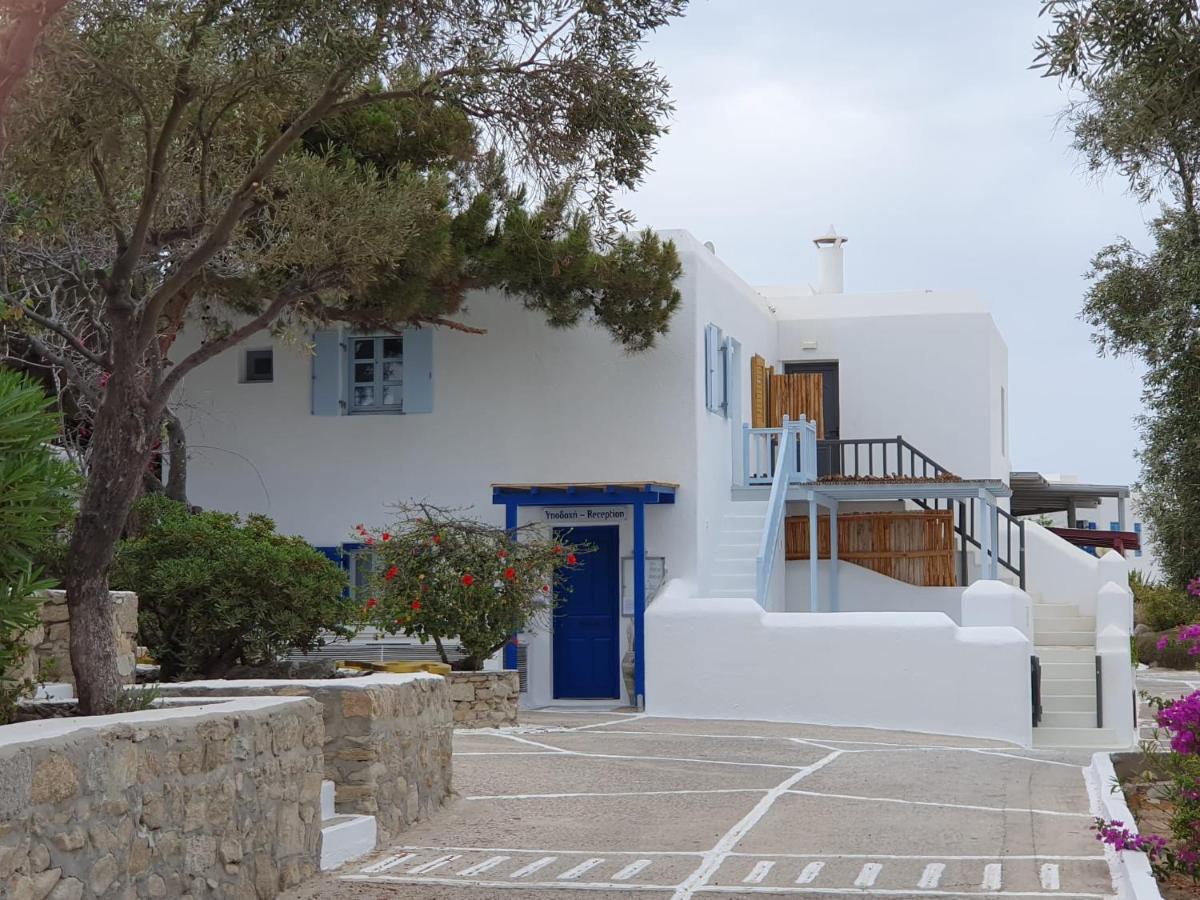 Traditional dream myconian studio