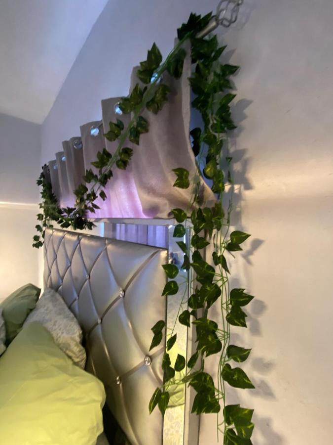 Moonlight Wilderness - 4