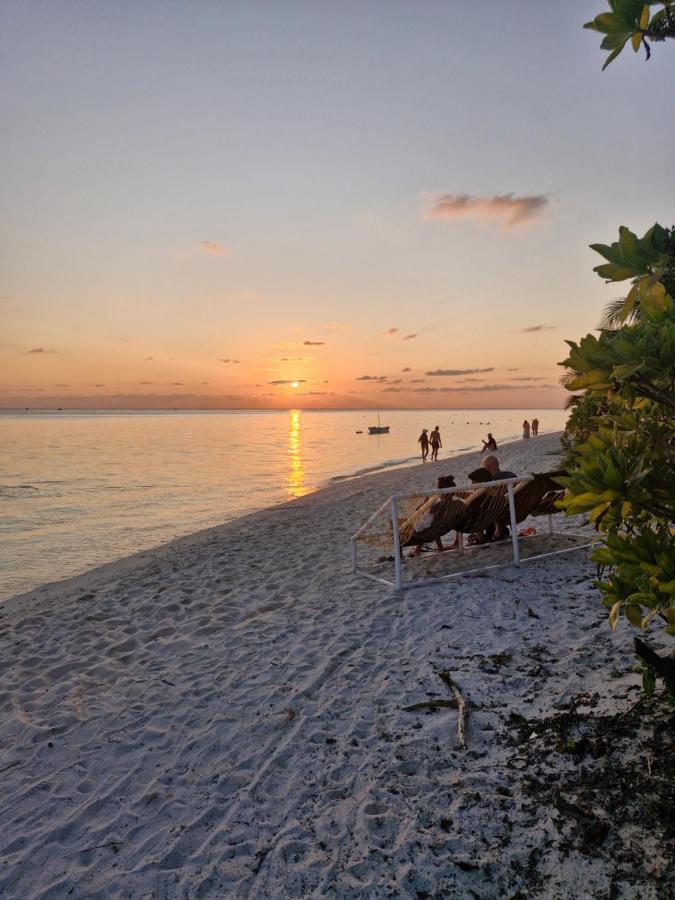 Love Beach Thoddoo Maldives - 2
