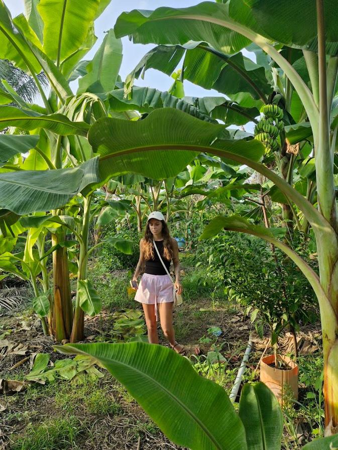 Love Beach Thoddoo Maldives - 3