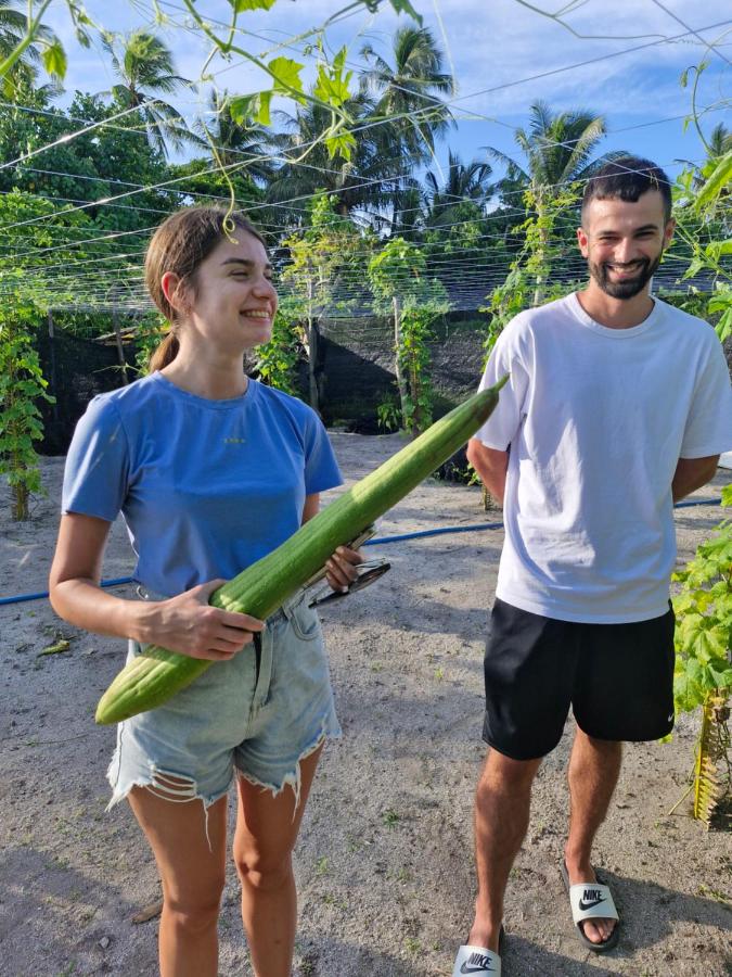 Love Beach Thoddoo Maldives - 4