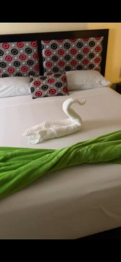 A beautiful two bedroom apartment in New Kingston - 3