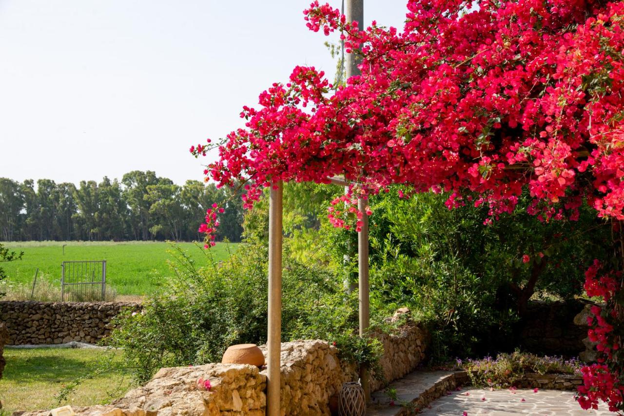 Agriturismo La Genziana - 2