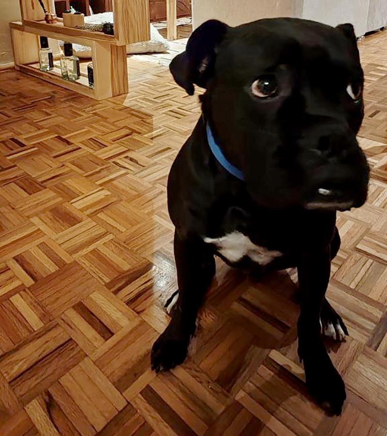 Punto DF - Airport - 5