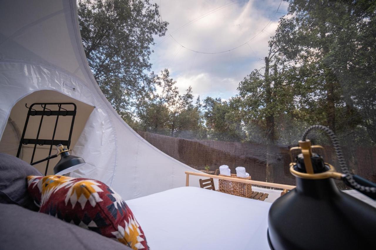 Bubble Suite sotto le stelle Toscana - 5