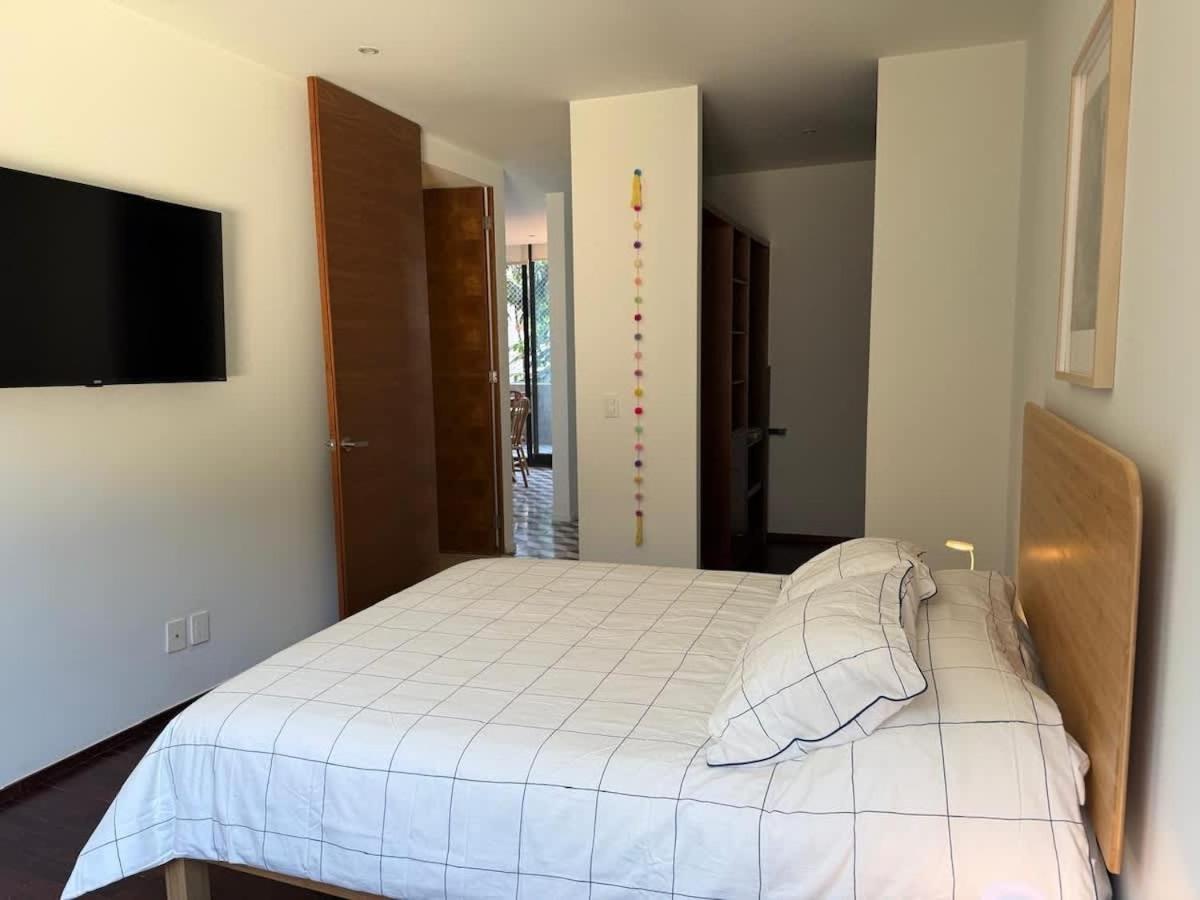 Magnifico Nuevo Departamento en Corazon de la Roma - 4