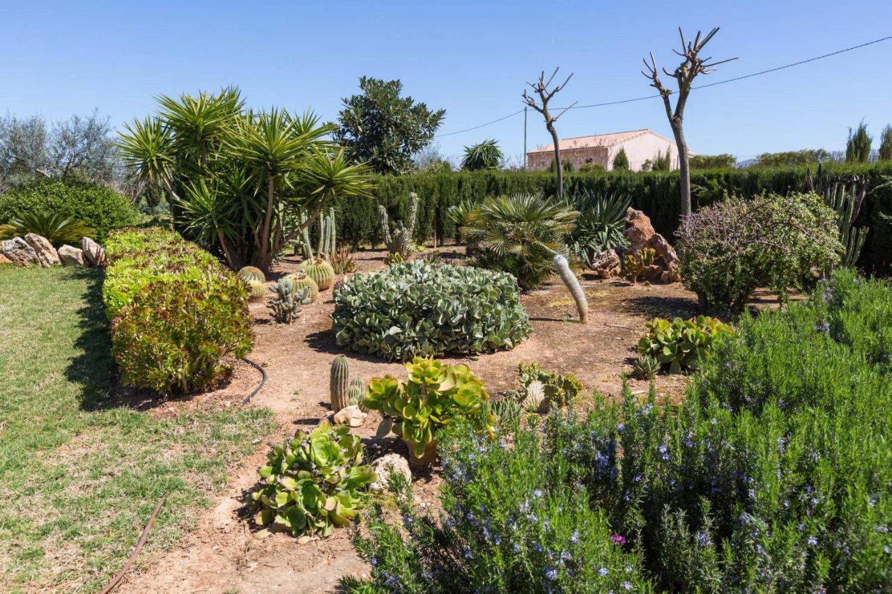 Son Vanrell - Campos - - 3