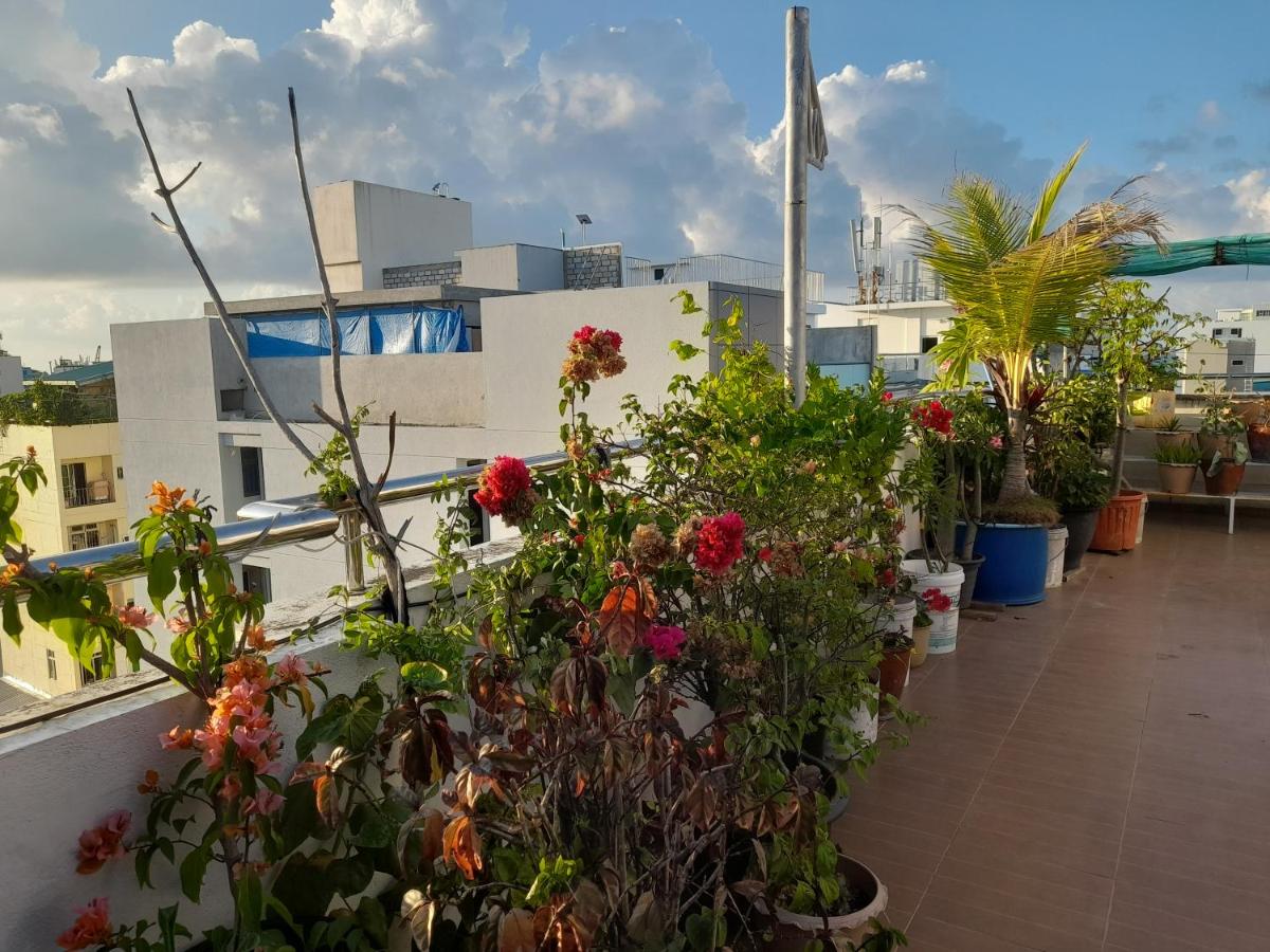 Terrace Garden Room - 3