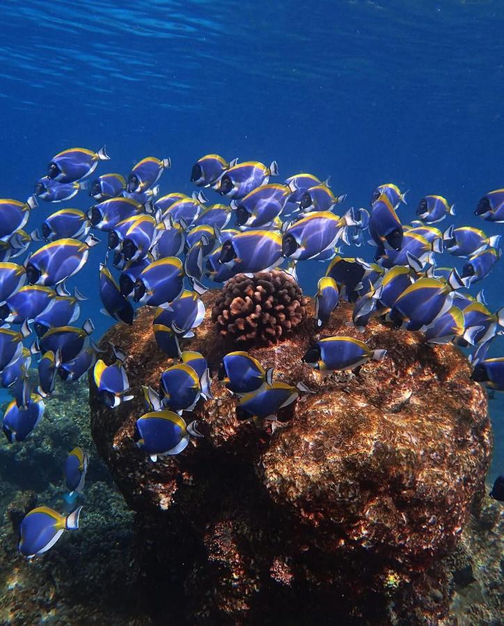 FEHIVILLA RESIDENCE Dhangethi - 3